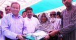 mosquito net distribution