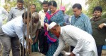 The construction work was launched by Ms. Farah Kabir, Country Director of Actionaid Bangladesh, Md. Arifur Rahman, Chief Executive YPSA and UNO of Banskhali