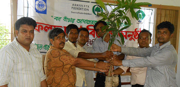 Fruit trees distribution program