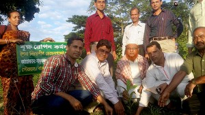 Tree Plantation Program