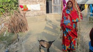 Women in front of her houses with YPSA provided goat