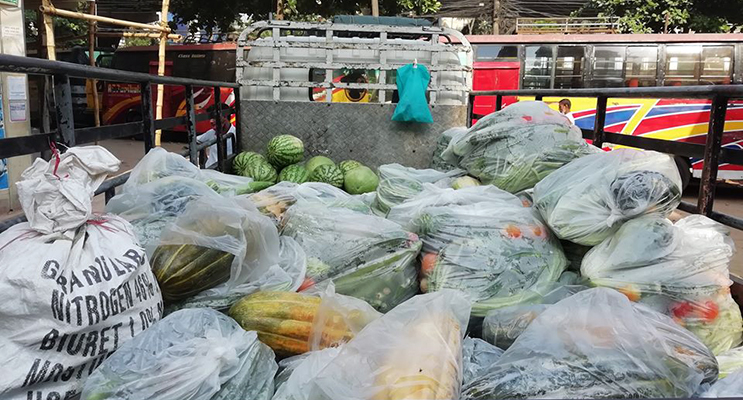 Vegetables in a truck