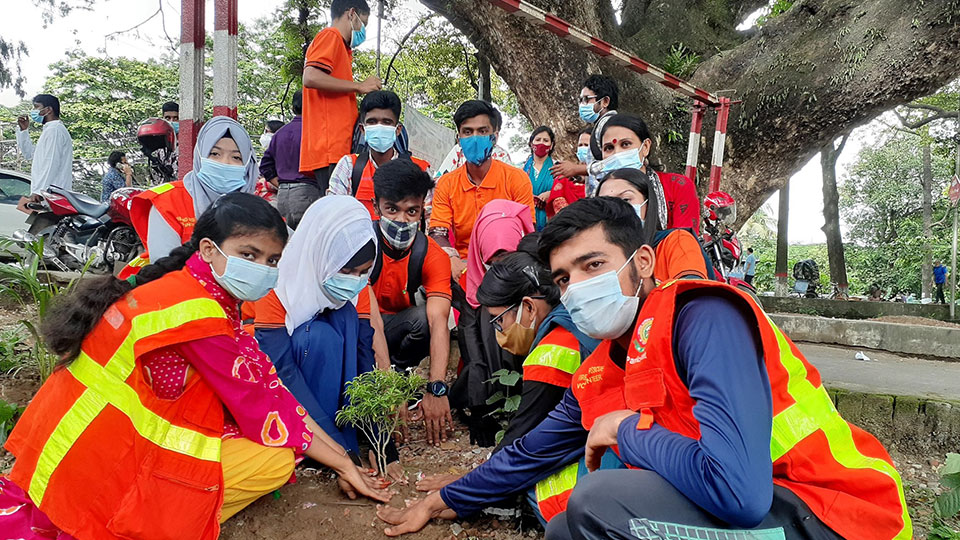 Tree plantation 