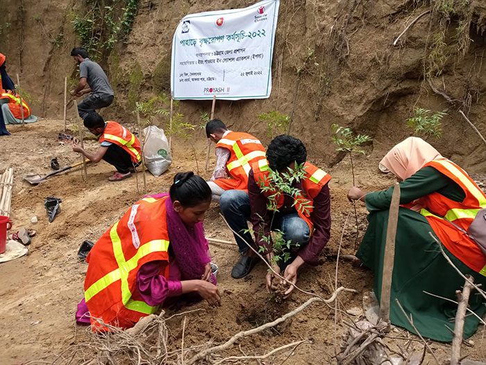 Volunteers planting 