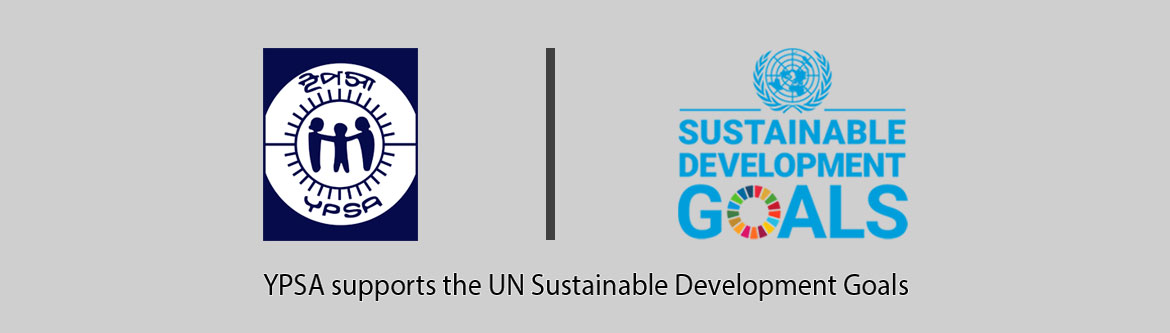 YPSA supports United Nations Sustainable Development Goals