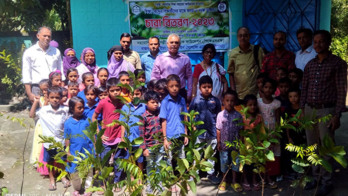 Tree seedlings distribution among the children 