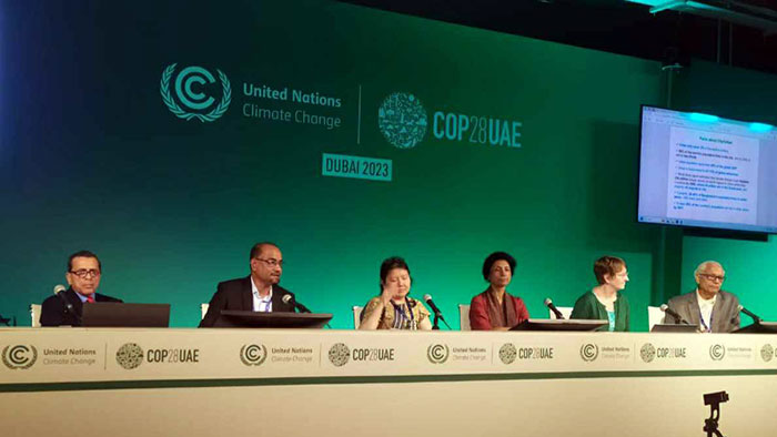 YPSA Participated in the COP 28 of UNFCCC in Dubai
