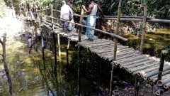 Construction of Bamboo bridge