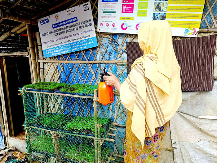 YPSA's Microgreens Project: A Livelihood Initiative in Rohingya Camp