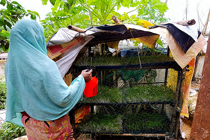A woman sparing medicine on Tray-based microgreens cultivation