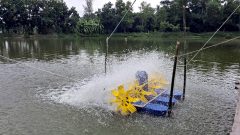 fish farming project.
