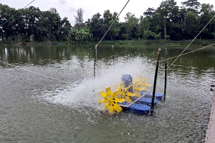 fish farming project.