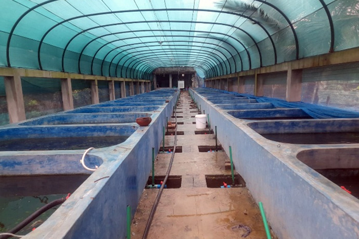 Fish farming project