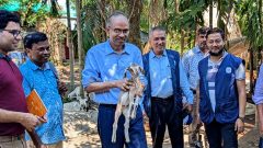 Deputy Managing Director of PKSF walking with doeling across the village