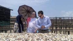 Visiting dry fish processing field