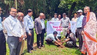 Tree plantation at CU