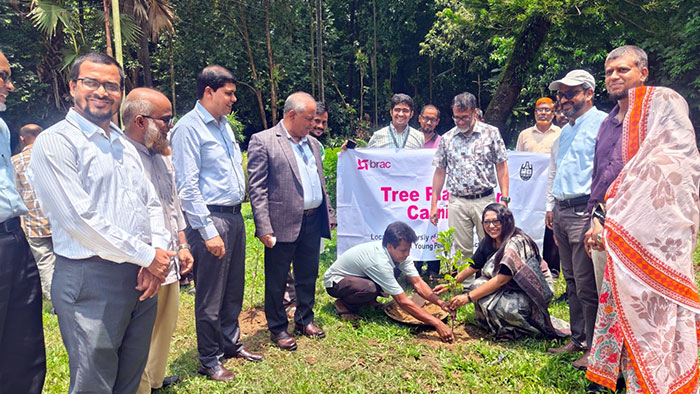 Tree plantation at CU